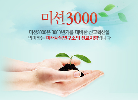 미션3000